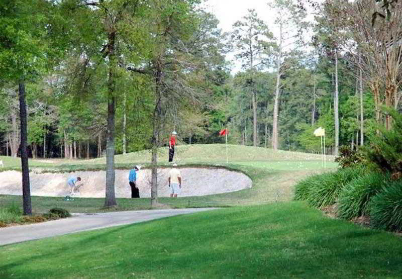 Heritage Place Houston Brookhollow Удобства фото